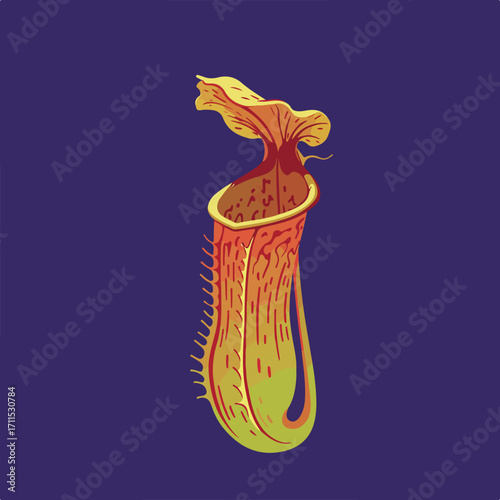 Pitcher plant flat illustration