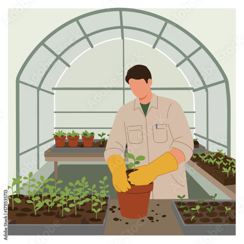 Illustration of person replanting seedlings in a greenhouse with potted plants