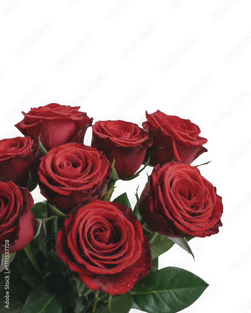 Obraz premium bouquet of red roses