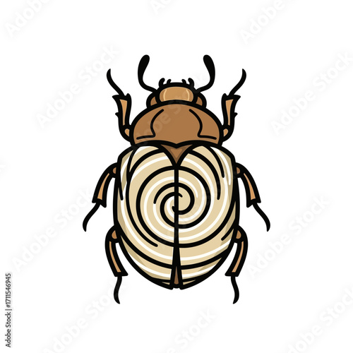 Stylized beetle isolated on white background, vector illustration of insect