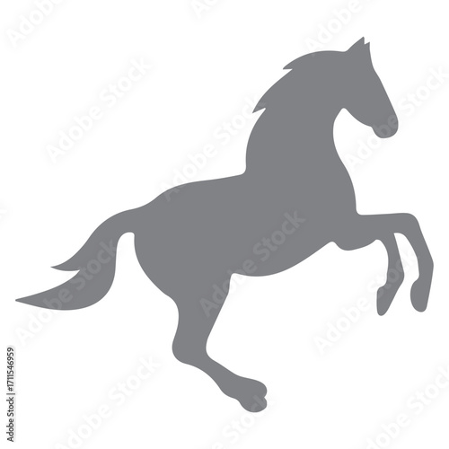 Horse Silhouette