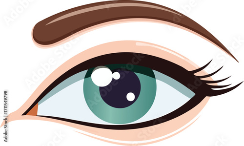 Close-up illustration of a woman's alluring green eye, featuring defined brows and lashes.