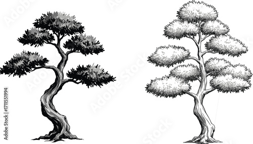 Stylized black and white tree illustration with twisted and straight trunks, abstract foliage, bonsai-inspired shapes, artistic nature silhouette vector design