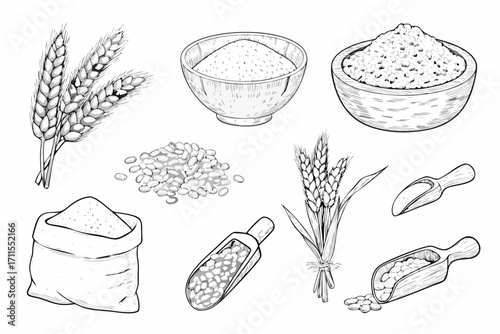 Collection of hand drawn wheat grains flour and cereals