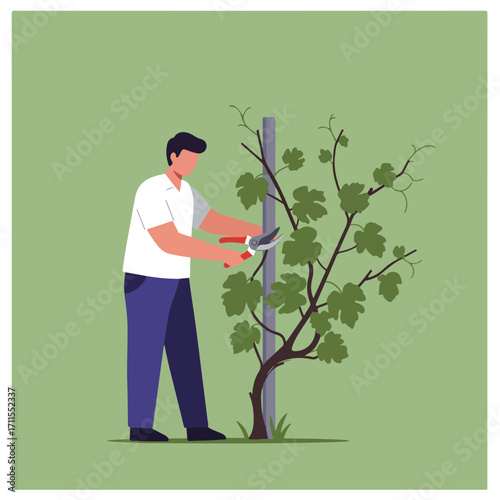 Man is pruning a plant with pruning shears, against a light green background in a flat style