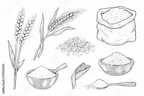 Collection of hand drawn wheat grain and flour illustrations