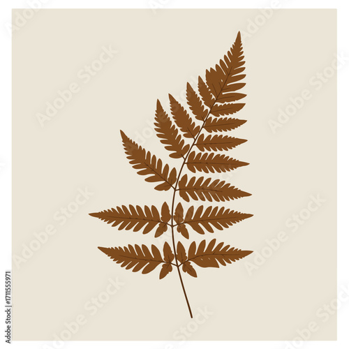 Minimalist illustration of a brown fern frond against a light neutral square backdrop