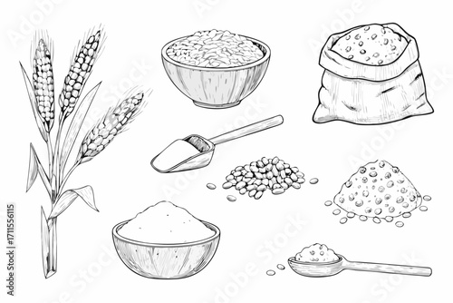 Hand drawn illustration of wheat grains flour and other cereal products