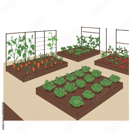 Stylized illustration of a backyard garden with various vegetables in raised beds