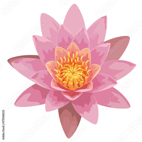 Illustration of a light pink lotus flower with yellow center on a white background