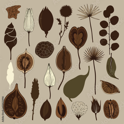 Botanical illustration of diverse dried plant life on a neutral beige background in a flat style