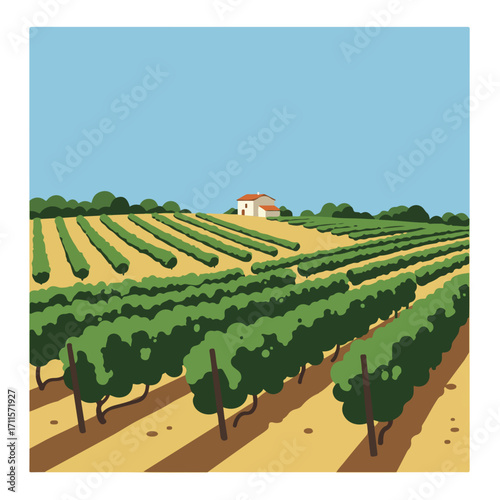Simplified scenic view of a vineyard landscape with a house under a blue sky