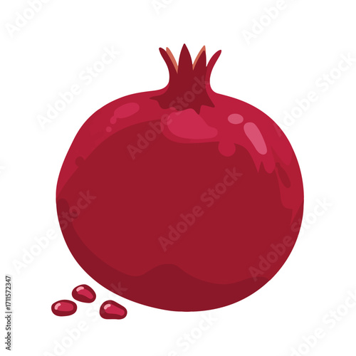 Vector image of a ripe pomegranate fruit with small scattered seeds on a white backdrop