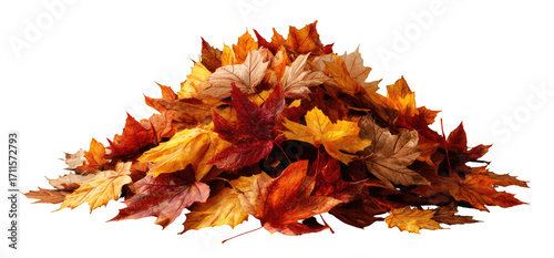 A vibrant pile of autumn leaves in warm hues