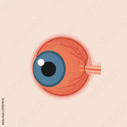 Flat-style vector illustration depicting a human eye with a blue iris on a light background