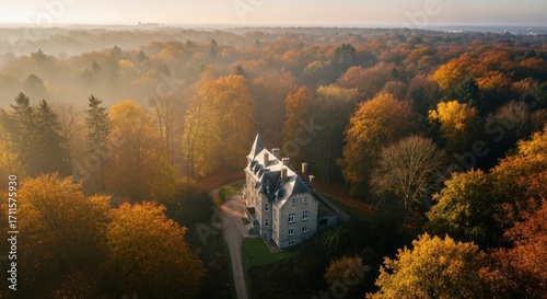 Aerial view of a charming chateau nestled in a vibrant autumn forest, bathed in the golden light of a misty morning, evoking a sense of tranquility.