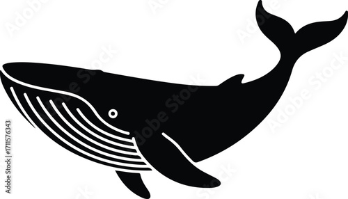 Black silhouette of a humpback whale with baleen lines on a white background marine mammal