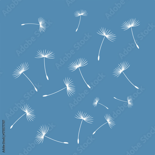 Light blue background with sparse pattern of white dandelion seeds floating in air