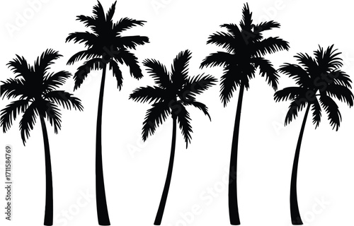 Silhouettes of lush palm trees swaying gently against a bright background.