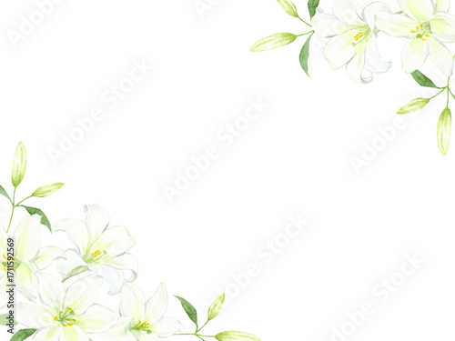 水彩で描いた白いユリのフレーム