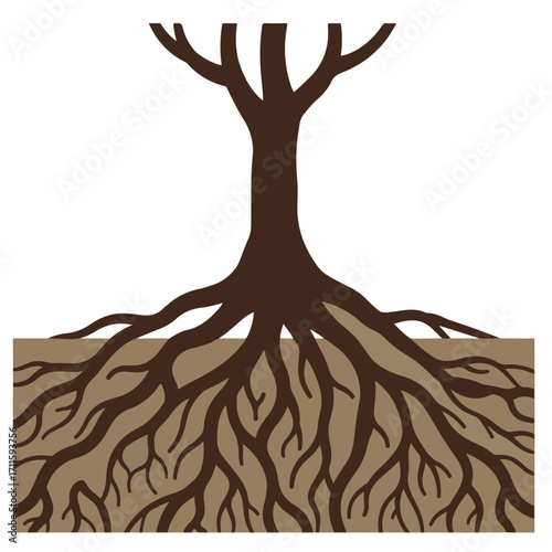 A stylized tree with visible, complex roots growing underground, brown and earthy tone
