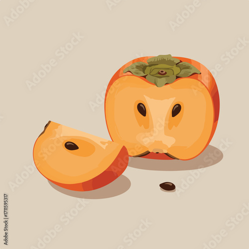 Two-tone illustrated cut persimmon fruit with seed, slice and shadow on a neutral background
