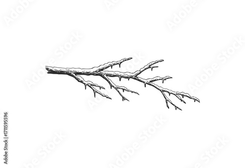 Snow-covered tree branch with icicles in winter illustration - stock vector
