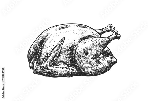 Hand-drawn sketch of a whole raw turkey - stock vector