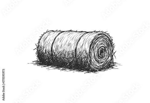 Detailed sketch of a hay bale - stock vector