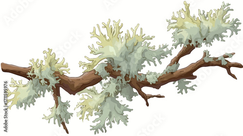 A digital illustration depicting a section of a tree branch with clusters of pale yellow and green lichen growing on it. The lichen has a textured, somewhat frilly appearance.