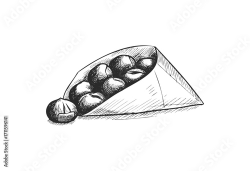 Hand-drawn hazelnuts in abstract container sketch - stock vector