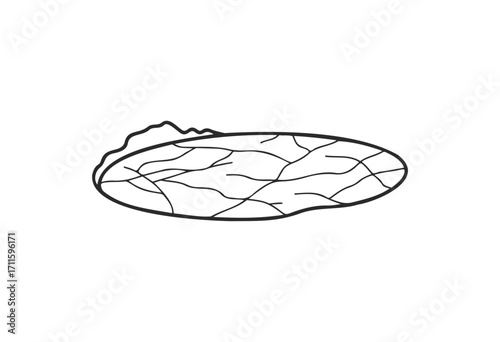Black and white simple line drawing of a potato with roots - stock vector