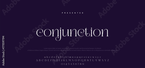 Luxury alphabet letters font and number. Typography elegant wedding classic lettering serif fonts decorative vintage retro concept. vector illustration