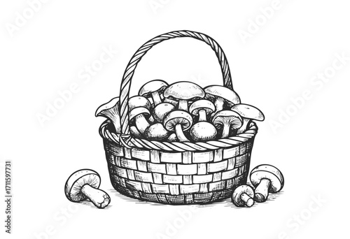 Hand-drawn basket of mushrooms: rustic harvest with edible varieties and farmhouse charm - stock vector
