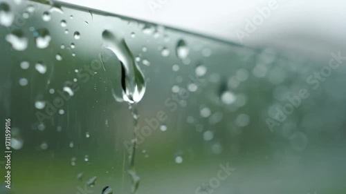 Wallpaper Mural Close-up of raindrops on a windowpane, reflecting a blurred green background on a gloomy day. Torontodigital.ca