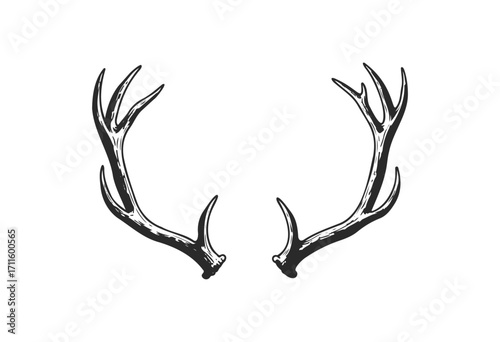 Black antler illustration - stock vector