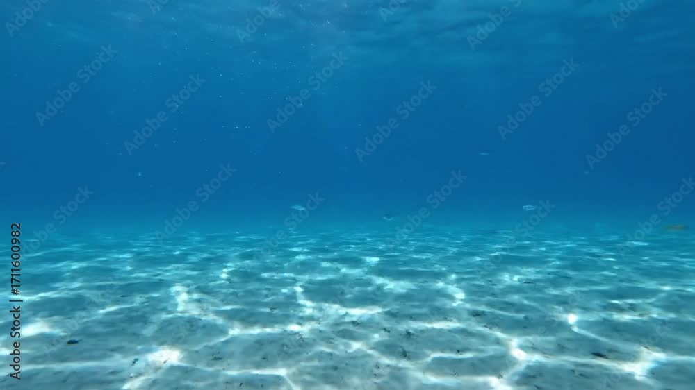 custom made wallpaper toronto digitalClear blue ocean water with sunlight patterns on sandy seabed