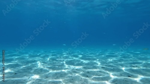 Wallpaper Mural Clear blue ocean water with sunlight patterns on sandy seabed Torontodigital.ca