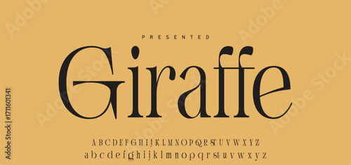 Elegant Font Uppercase Lowercase Number And Ampersand. Classic Lettering Minimal Fashion Designs. Typography modern serif fonts regular decorative vintage concept. vector illustration.