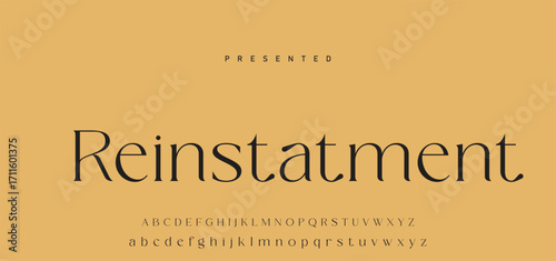 Elegant Font Uppercase Lowercase Number And Ampersand. Classic Lettering Minimal Fashion Designs. Typography modern serif fonts regular decorative vintage concept. vector illustration.