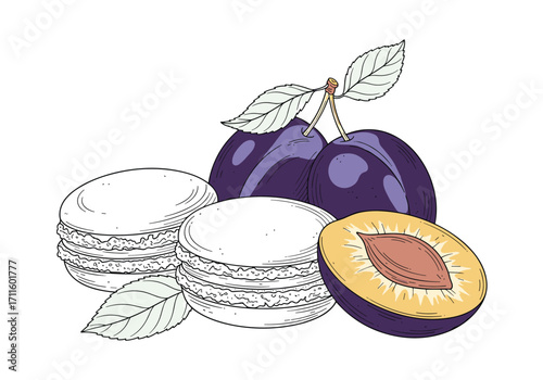 Fresh plums and sweet macarons for a delightful dessert.