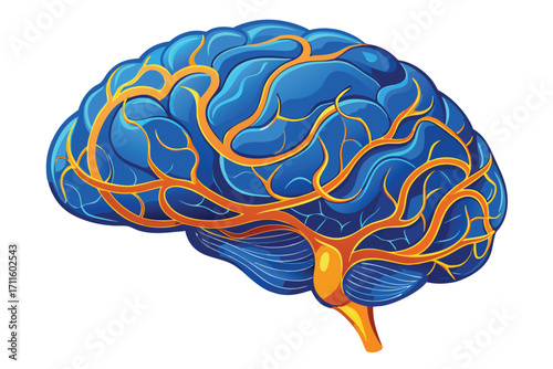 Colorful illustration of a human brain with neural pathways in blue and orange shades