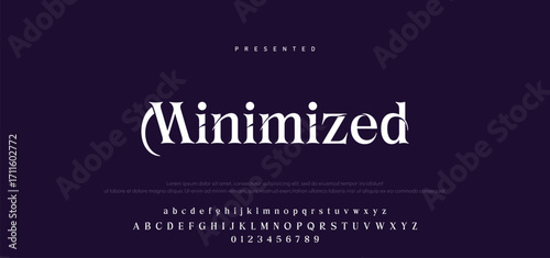 Elegant Font Uppercase Lowercase Number And Ampersand. Classic Lettering Minimal Fashion Designs. Typography modern serif fonts regular decorative vintage concept. vector illustration.