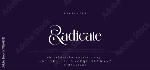 Elegant Font Uppercase Lowercase Number And Ampersand. Classic Lettering Minimal Fashion Designs. Typography modern serif fonts regular decorative vintage concept. vector illustration.