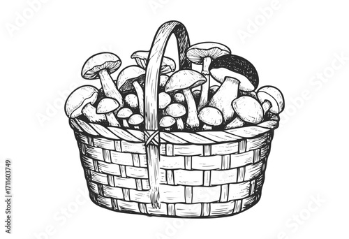 Hand-drawn sketch of woven basket filled with various mushrooms - stock vector