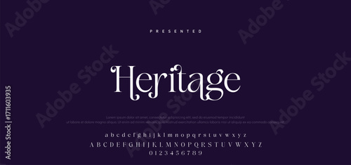 Elegant Font Uppercase Lowercase Number And Ampersand. Classic Lettering Minimal Fashion Designs. Typography modern serif fonts regular decorative vintage concept. vector illustration.
