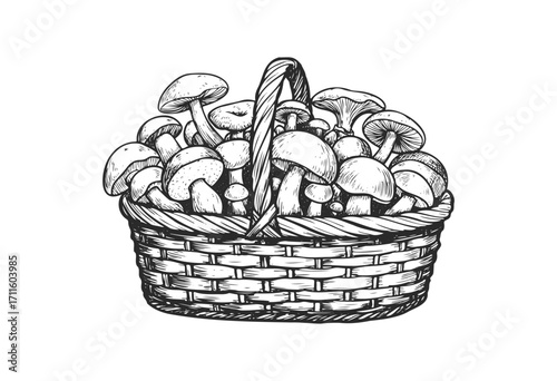 Hand-drawn wicker basket filled with assorted mushrooms - stock vector