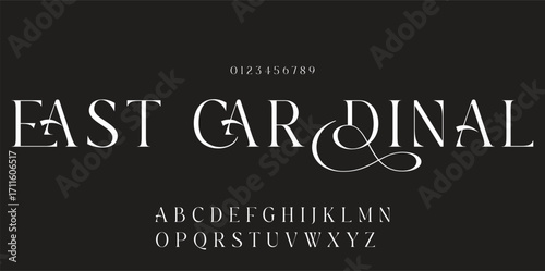 Elegant font alphabet logo. Typography Beauty fashion luxury classic letters serif fonts decorative wedding vintage retro logos. vector illustration.