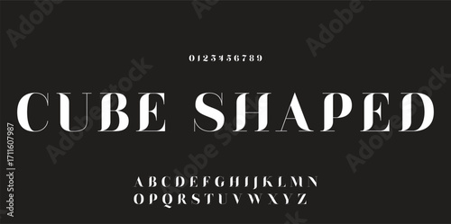 Elegant font alphabet logo. Typography Beauty fashion luxury classic letters serif fonts decorative wedding vintage retro logos. vector illustration.