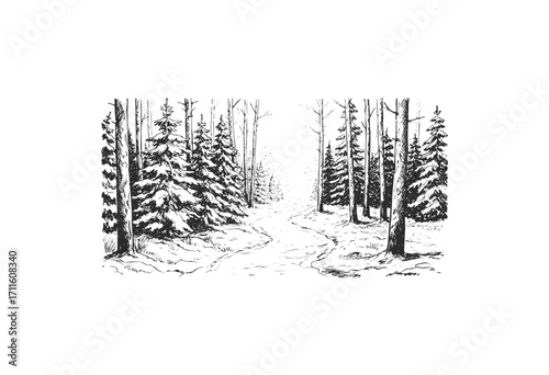 Serene winter forest path with snow-covered evergreen trees in black and white - stock vector